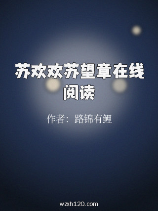 苏欢欢苏望章在线阅读