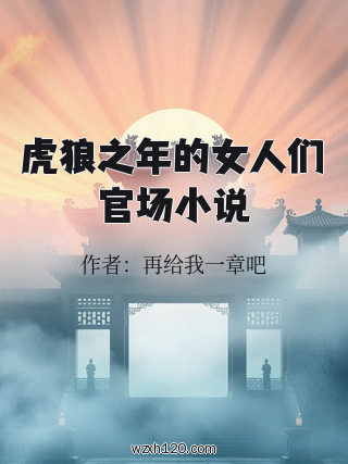 虎狼之年的女人们官场小说