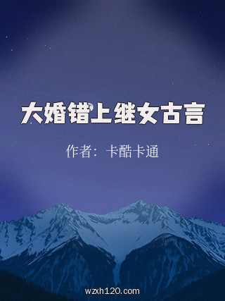 大婚错上继女古言