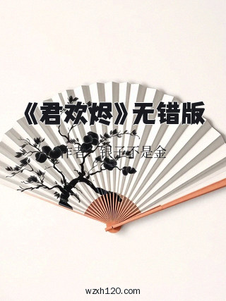 《君欢烬》无错版