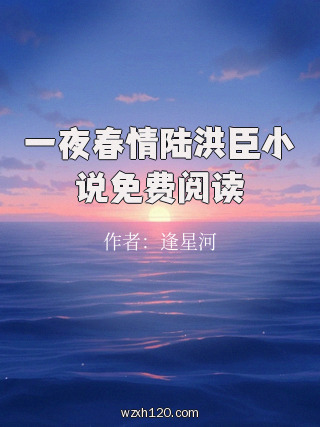 一夜春情陆洪臣小说免费阅读