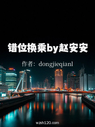 错位换乘by赵安安