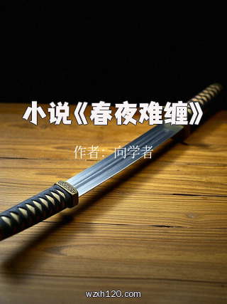 小说《春夜难缠》