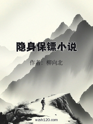 隐身保镖小说