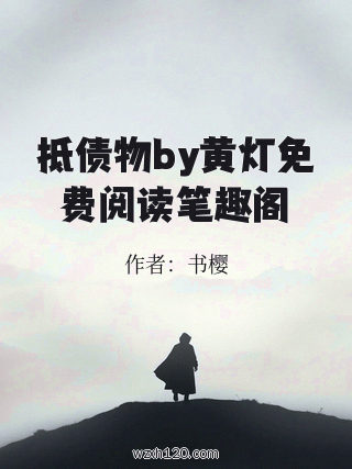 抵债物by黄灯免费阅读笔趣阁