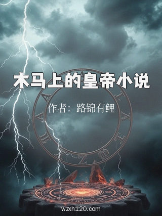 木马上的皇帝小说