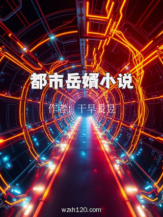 都市岳婿小说