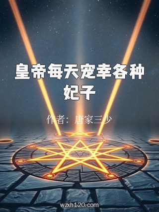 皇帝每天宠幸各种妃子