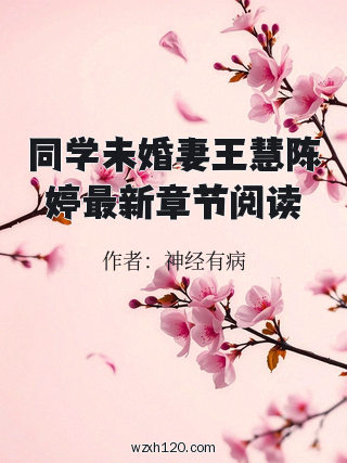 同学未婚妻王慧陈婷最新章节阅读