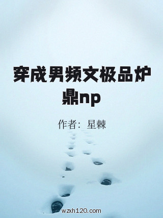 穿成男频文极品炉鼎np