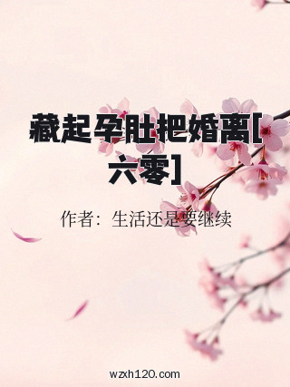 藏起孕肚把婚离[六零]
