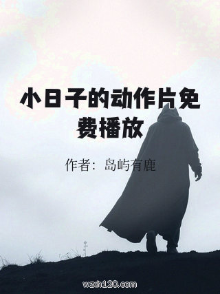 小日子的动作片免费播放