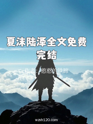 夏沫陆泽全文免费完结