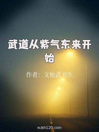 武道从紫气东来开始