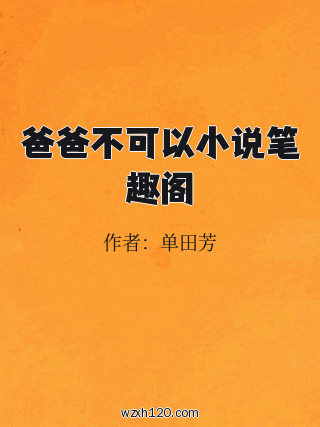 爸爸不可以小说笔趣阁