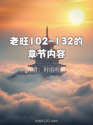 老旺102-132的章节内容