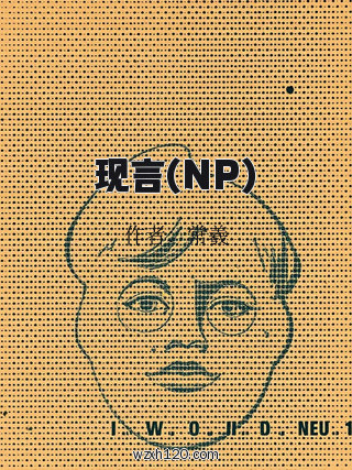现言(NP)