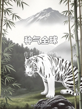 种气全球