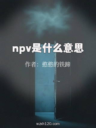 npv是什么意思