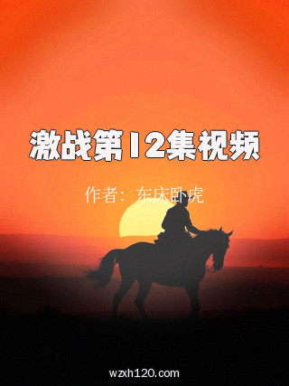 激战第12集视频