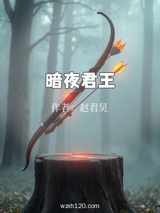 暗夜君王