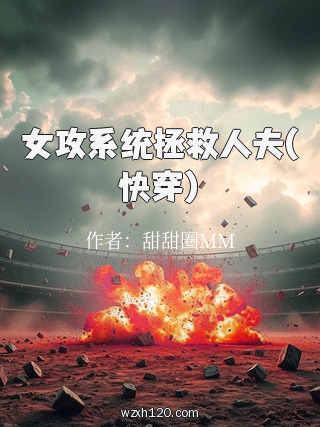女攻系统拯救人夫(快穿)