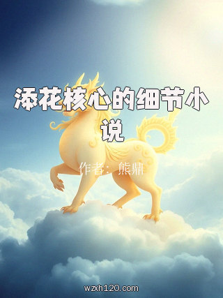 添花核心的细节小说