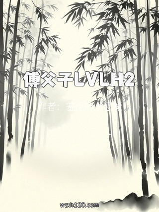 傅父子LVLH2