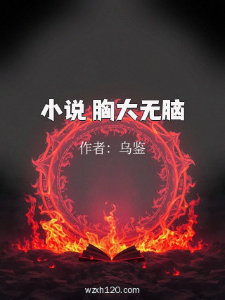 小说 胸大无脑