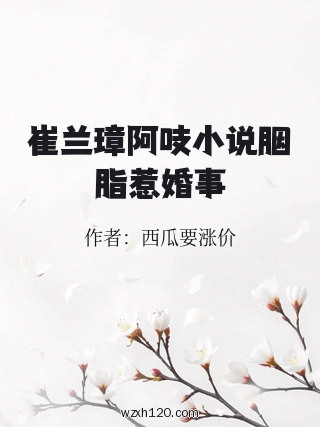 崔兰璋阿吱小说胭脂惹婚事