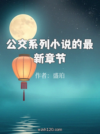 公交系列小说的最新章节