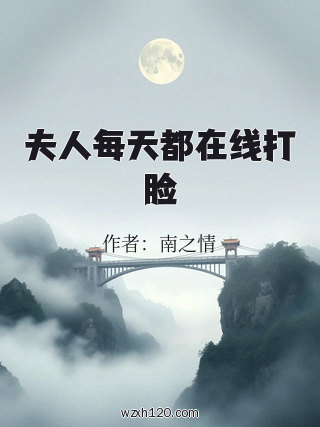 夫人每天都在线打脸