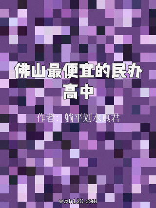 佛山最便宜的民办高中