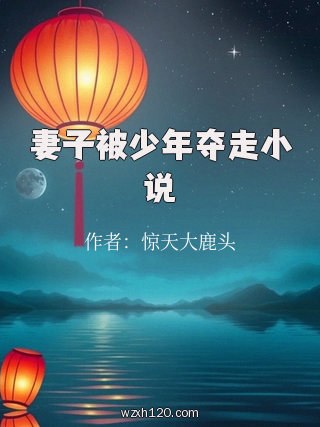妻子被少年夺走小说