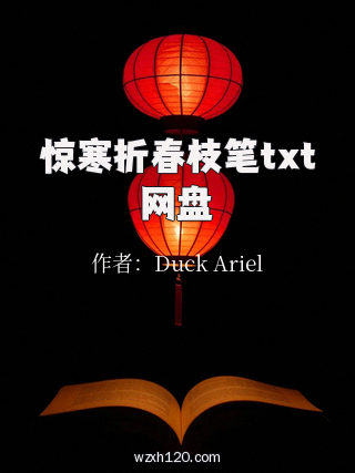 惊寒折春枝笔txt网盘