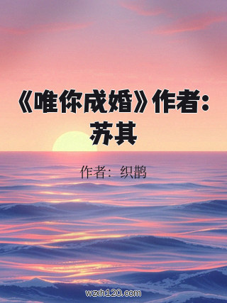 《唯你成婚》作者:苏其