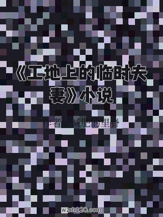《工地上的临时夫妻》小说