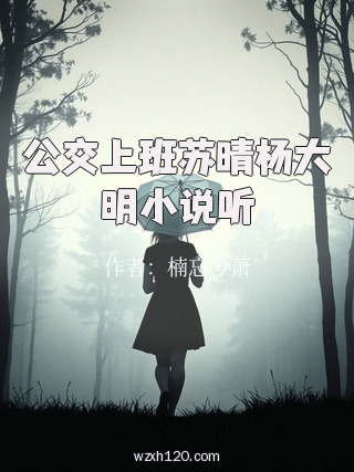 公交上班苏晴杨大明小说听