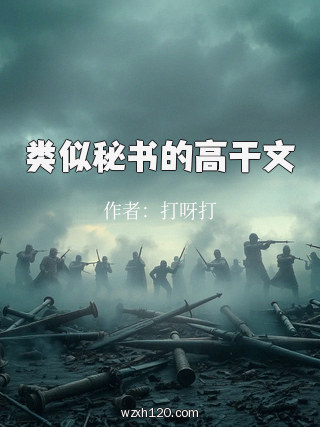 类似秘书的高干文