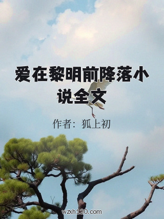 爱在黎明前降落小说全文