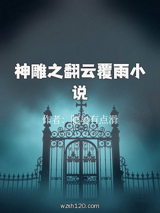 神雕之翻云覆雨小说