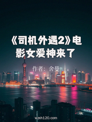《司机外遇2》电影女爱神来了