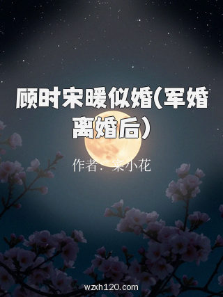 顾时宋暖似婚(军婚离婚后)