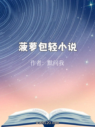 菠萝包轻小说