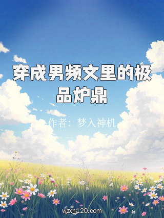 穿成男频文里的极品炉鼎