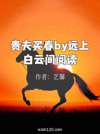 贵夫买春by远上白云间阅读