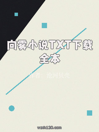 向雾小说TXT下载全本