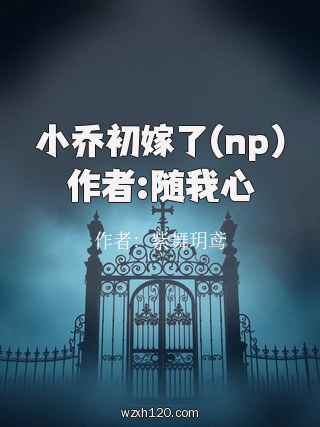 小乔初嫁了(np)作者:随我心