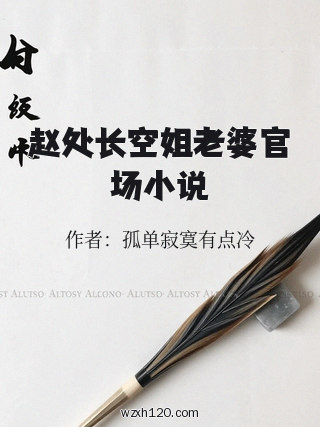 赵处长空姐老婆官场小说