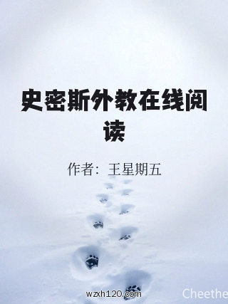 史密斯外教在线阅读